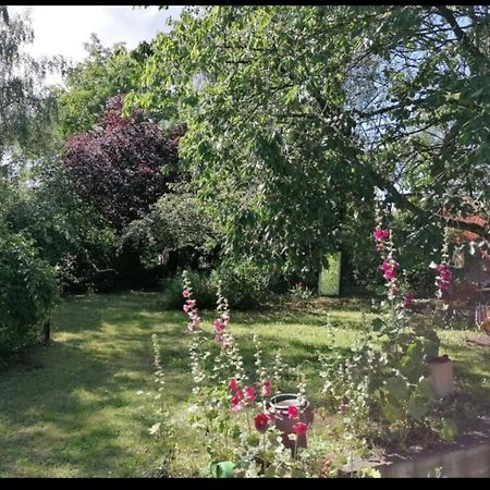 Geraeumiges 120M² Haus Mit Garten + Stellplatz Stralsund Eksteriør bilde